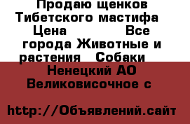 Продаю щенков Тибетского мастифа › Цена ­ 45 000 - Все города Животные и растения » Собаки   . Ненецкий АО,Великовисочное с.